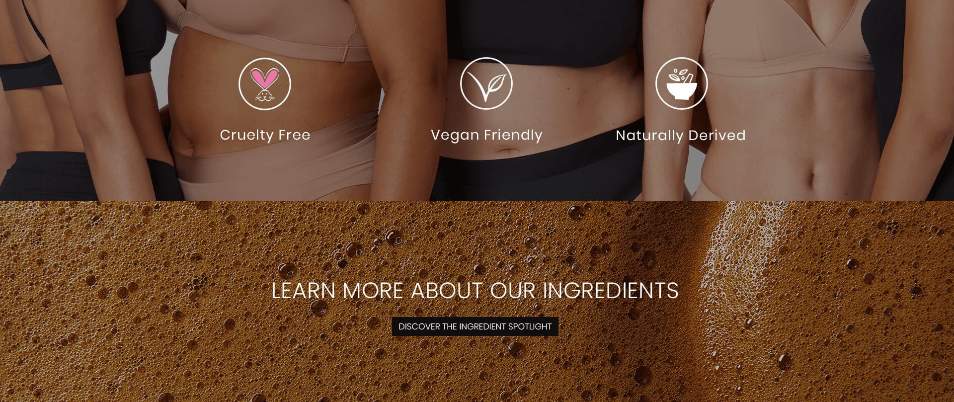 Learn More About Our Ingredients